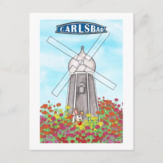 Carte Postale The Flower Fields of Carlsbad California (Devant)