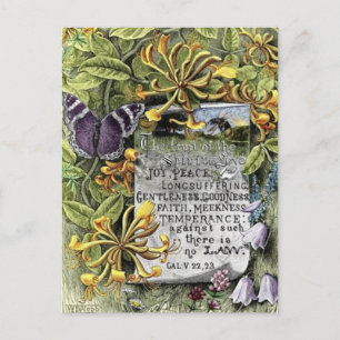 Carte Postale The Fruit Of The Spirit