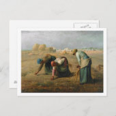 Carte Postale The Gleaners 1857 (Devant / Derrière)