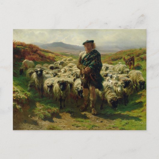 Carte Postale The Highland Shepherd par Rosa Bonheur Postcard (Devant)