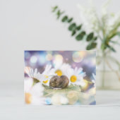 Carte Postale The Little Things (Debout devant)