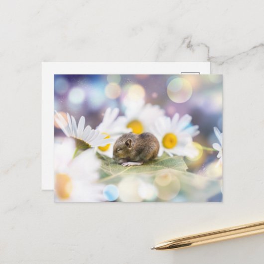 Carte Postale The Little Things (Devant/Arrière en situation)