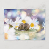 Carte Postale The Little Things (Devant)