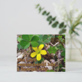 Carte Postale The Lord Remembered Her Bible Verse Postcard (Debout devant)