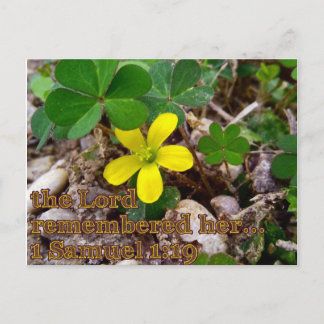 Carte Postale The Lord Remembered Her Bible Verse Postcard