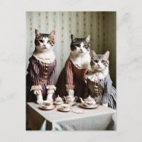 Thé Party de Chat