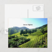 Carte Postale Thé Plantation, Cameron Highlands, Malaisie (Devant / Derrière)