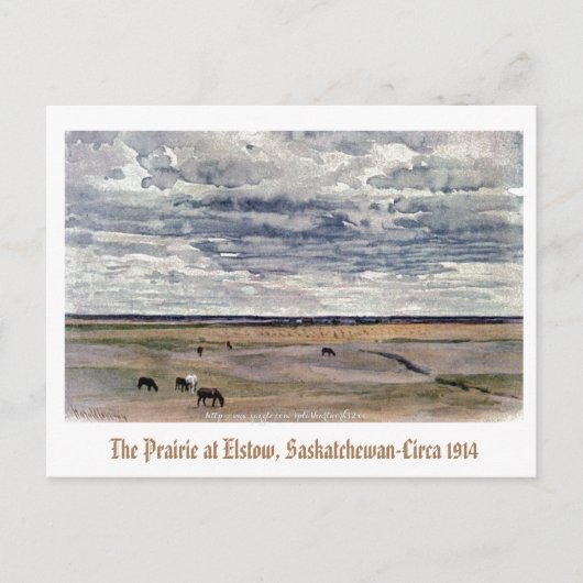 Carte Postale "The Prairie at Elstow, Saskatchewan-1914" (Devant)