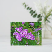 Carte postale - The Purple Lilacs of Highland Park (Debout devant)