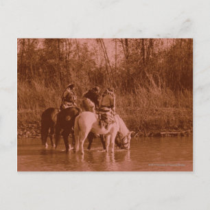 Carte Postale The Raiders