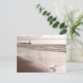 Carte Postale The Scheveningen Dier at Dusk (Debout devant)