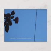 Carte Postale The shadow of a rose emerging darkly. (Devant)