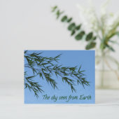 Carte Postale the sky seen from earth (Debout devant)