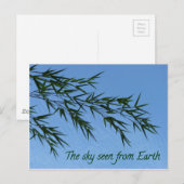 Carte Postale the sky seen from earth (Devant / Derrière)