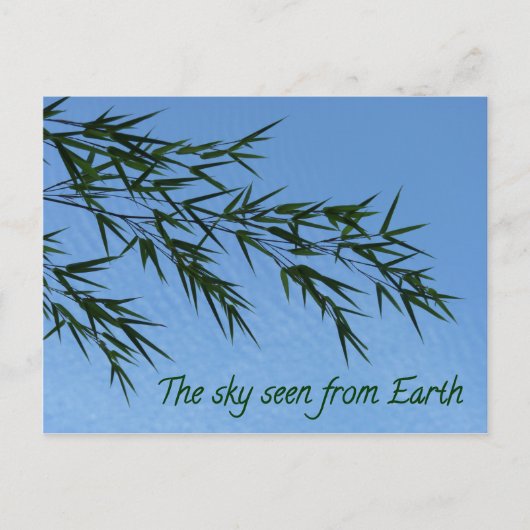 Carte Postale the sky seen from earth (Devant)