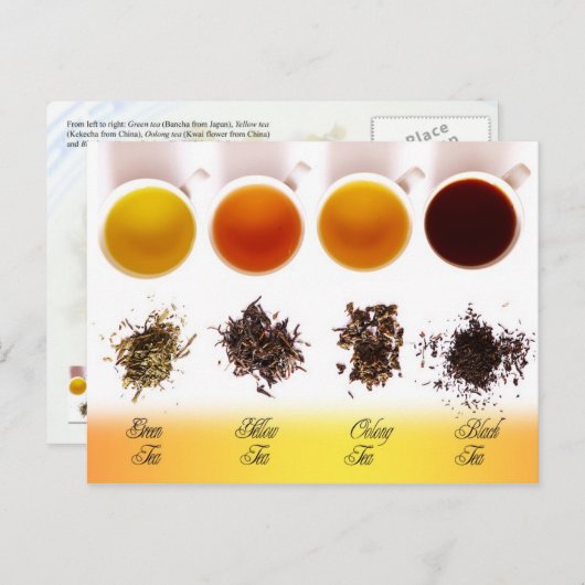 Carte Postale Thé vert, jaune, olong et noir (Devant / Derrière)