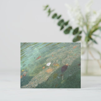 Carte Postale The water's surface in October
