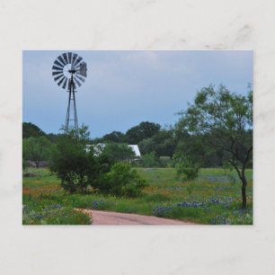 Carte Postale The Windmill in the Wildflowers