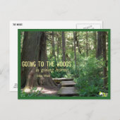 Carte Postale The Woods (Olympic N.P.) (Devant / Derrière)