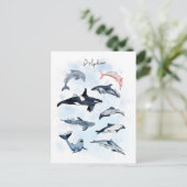Carte Postale Thème de fête dauphin dessin aquarelle pour enfant (Debout devant)
