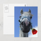 Carte Postale thème de l'amour cheval et rose (Devant / Derrière)
