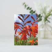 Carte Postale Thème de puissance de flux (Debout devant)