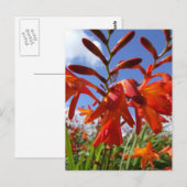 Carte Postale Thème de puissance de flux (Devant / Derrière)