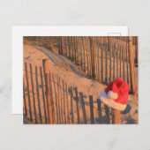 Carte postale thème Noël plage (Devant / Derrière)