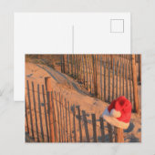 Carte postale thème plage de Noël (Devant / Derrière)