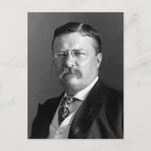 Carte Postale Theodore Roosevelt Teddy Président républicain