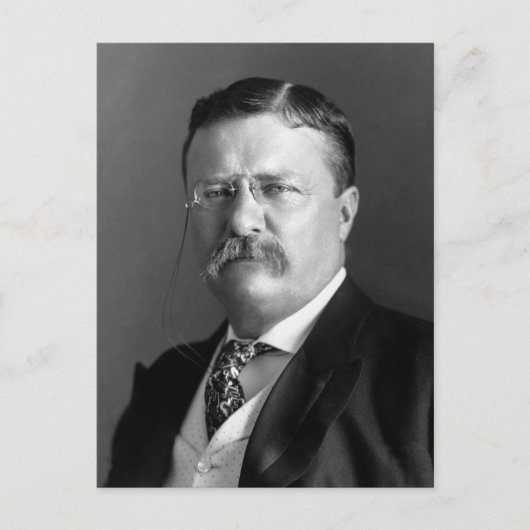 Carte Postale Théodore Roosevelt Teddy Président Républicain (Devant)