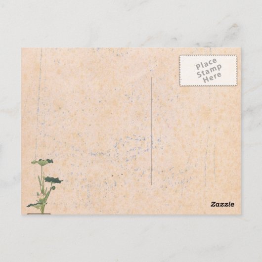 Carte postale Theologies (Dos)