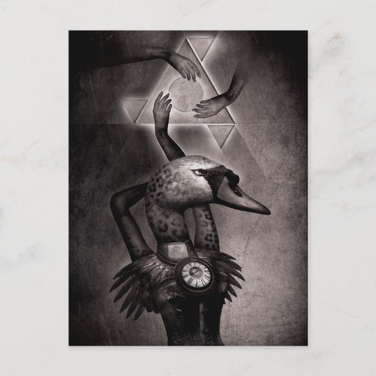 Carte Postale Théorie du cygne noir (Devant)