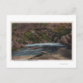 Carte Postale Thermopolis, WY - Big Horn Hot Springs View (Devant)