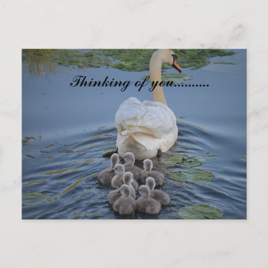 Carte Postale thinking of you (Devant)
