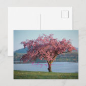 Carte Postale thinking of you nature  (Devant / Derrière)