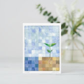 Carte Postale Third Day (7 days of creation) Postcard (Debout devant)