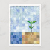 Carte Postale Third Day (7 days of creation) Postcard (Devant)