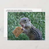 Carte Postale Thirteen-Lined Ground (Devant / Derrière)