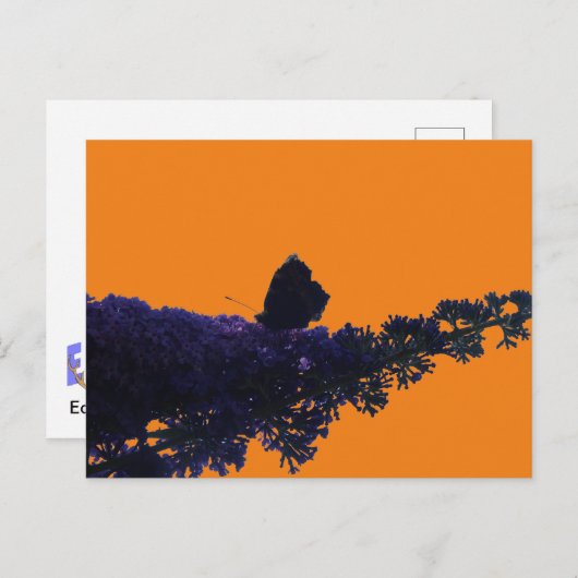 Carte Postale Thistère papillon sur papillon Bush do-it-yourself (Devant / Derrière)