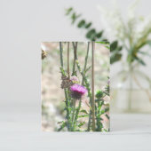 Carte Postale Thistle Love (Debout devant)