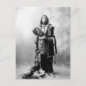 Carte Postale Thomas American Horse (Devant)