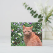 Carte postale Thomas Leo (Debout devant)