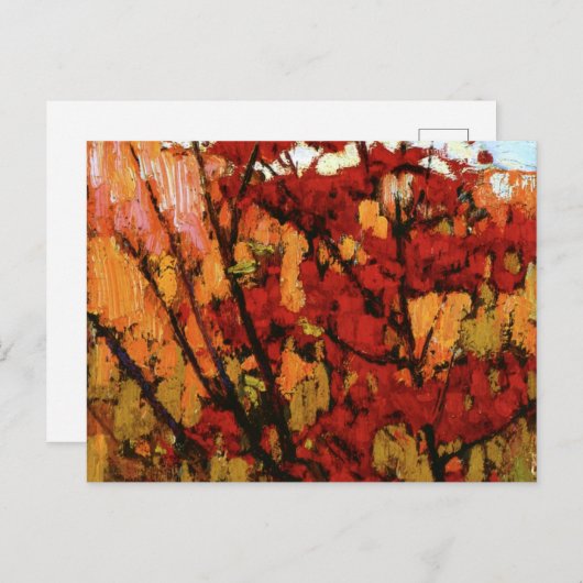 Carte Postale Thomson - Érable molle en automne (Devant / Derrière)