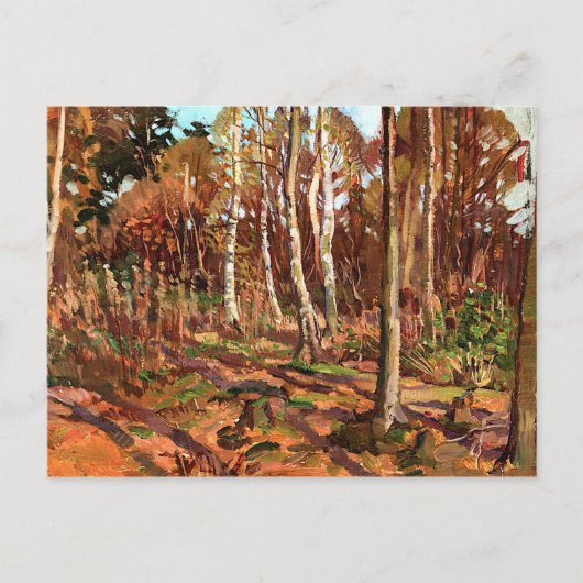 Carte Postale Thomson - Vue sur le parc Algonquin (Devant)