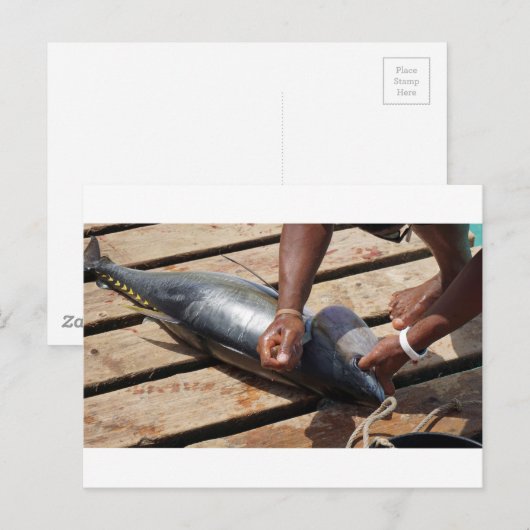 Carte Postale thon jaune (Devant / Derrière)