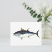 Carte Postale Thon rouge (Debout devant)