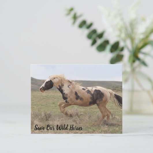 Carte postale Thor McCullough Peaks (Debout devant)