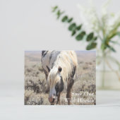 Carte postale Thor McCullough Peaks (Debout devant)