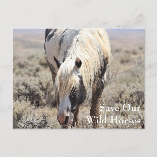 Carte postale Thor McCullough Peaks (Devant)